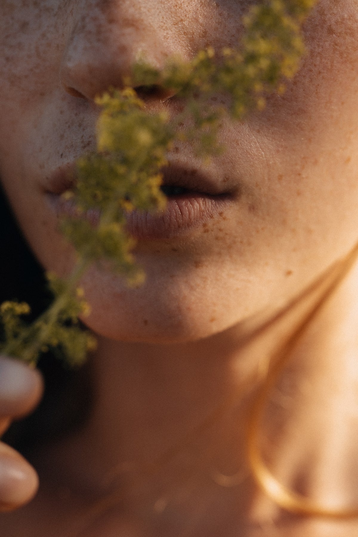 Close-up of a person holding a plant near their face with a warm, blurred background
