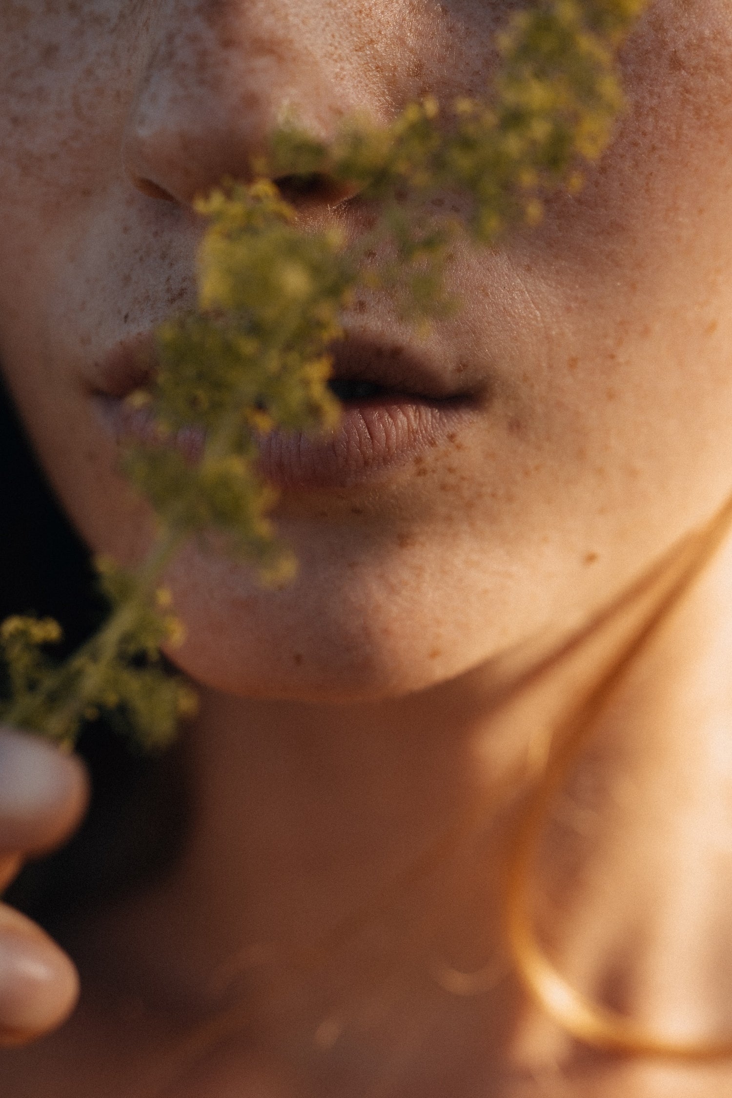 Close-up of a person holding a green leafy plant near their face with a warm, soft focus.
